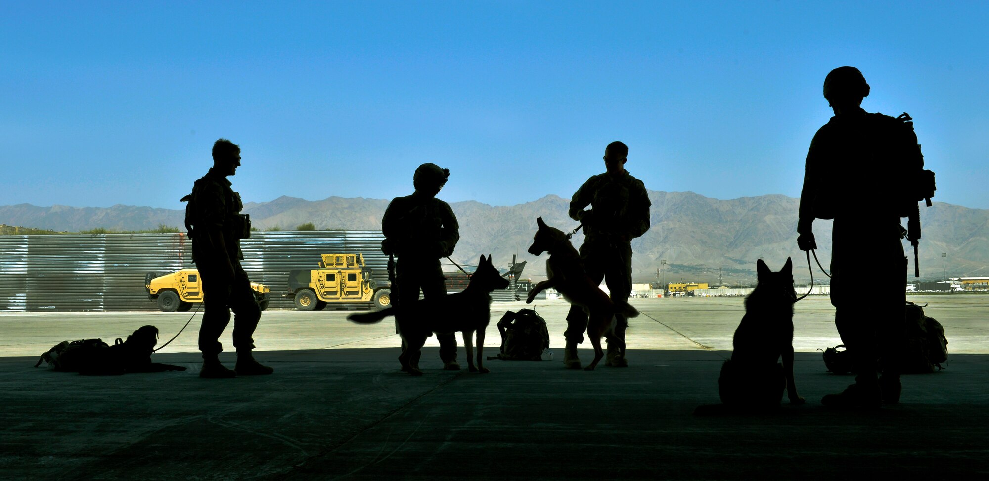 More than 15 U.S. Army tactical explosive detection dogs and their handlers participate in rescue training with 83rd Expeditionary Rescue Squadron pararescueman at Bagram Airfield, Afghanistan, June 21.  Each dog and handler duo were hoist into a HH-60G Pave Hawk helicopter during joint training held here for the first time. (U.S. Air Force photo/ Staff Sgt. Stephenie Wade)