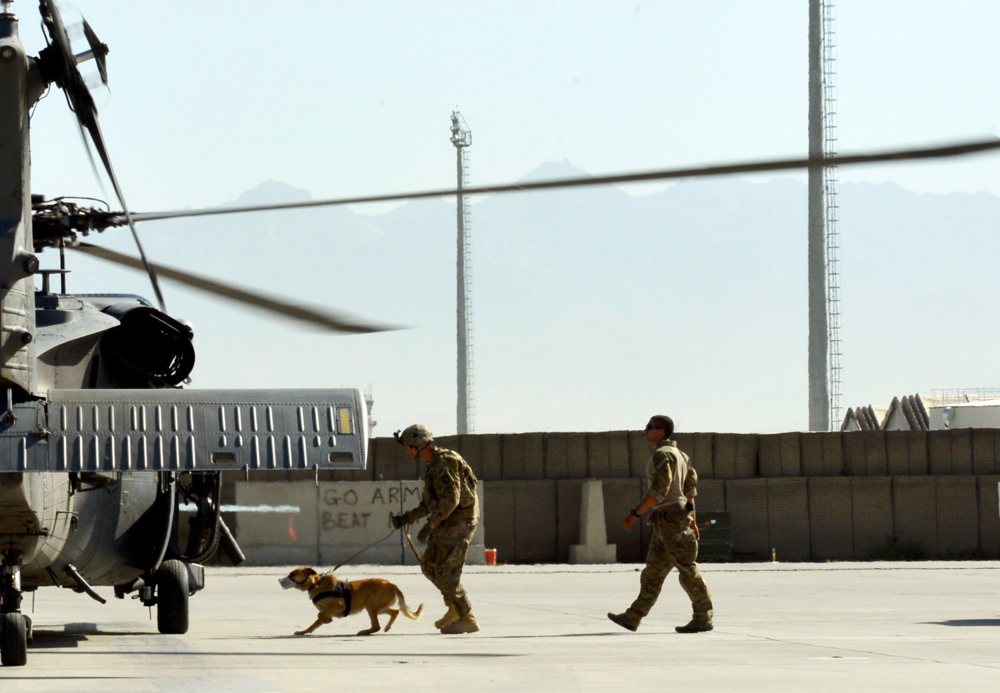 An Air Force pararescueman and Army tactical explosive detection dog handler escort a dog on and off a HH-60G Pave Hawk helicopter during training at Bagram Airfield, Afghanistan, June 21. Each dog and handler team took turns bringing the dogs near the helicopters to get them familiar with the sound prior to hoisting them. This is the first time both branches have participated in this kind of training here. (U.S. Air Force photo/ Staff Sgt. Stephenie Wade)
