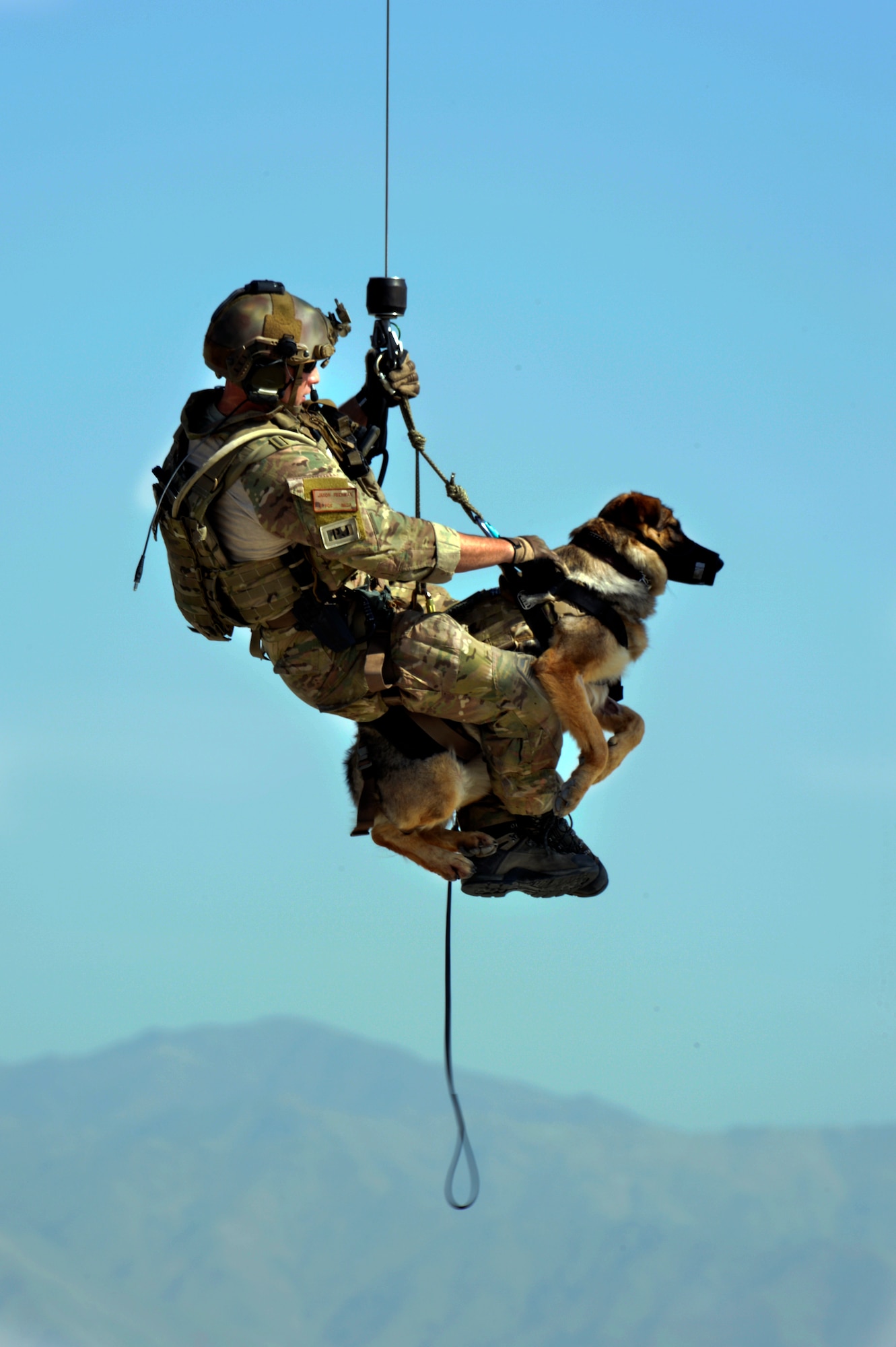 Senior Airman Jason Fischman, 83rd Expeditionary Rescue Squadron pararescueman, hoists an U.S. Army tactical explosive detection dogs into a HH-60G Pave Hawk helicopter during a joint rescue training scenario at Bagram Airfield, Afghanistan, June 21, 2013.  This training was a first for both branches and prepared them for future rescue missions.  Fischman is deployed from Royal Air Force Lakenheath, England. (U.S. Air Force photo/ Staff Sgt. Stephenie Wade)
