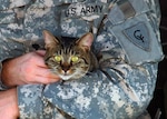 Guardian Angels for Soldier's Pet, a nonprofit volunteer group, arranges foster care for the pets of deploying servicemembers.