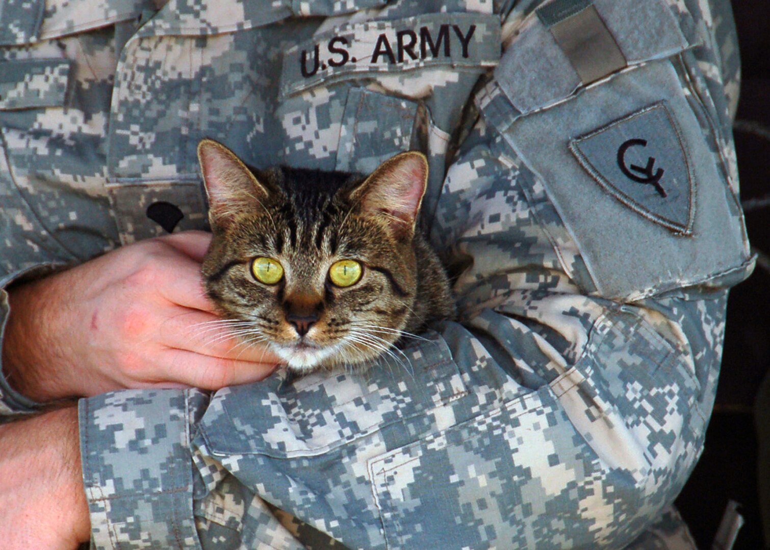 Guardian Angels for Soldier's Pet, a nonprofit volunteer group, arranges foster care for the pets of deploying servicemembers.