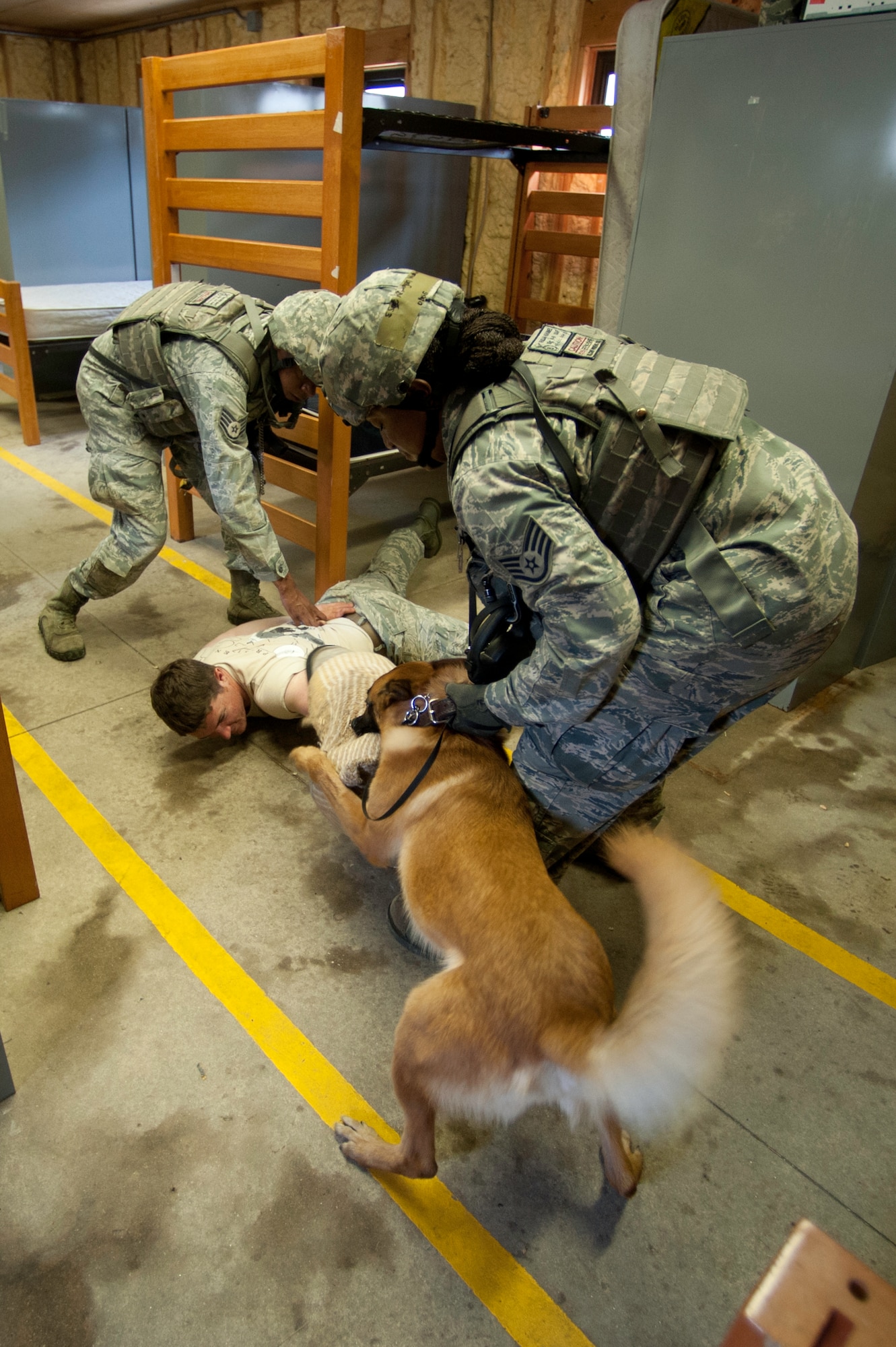 KUNSAN AIR BASE, Republic of Korea --Members of the 8th Security Forces Squadron military working dog section, Staff Sgts. Christopher Bennet, left, Khadijah Muhummed, right, and Bruiser, military working dog, subdue Senior Airman Aaron Reason, middle, during a room clearing exercise at Wolf Pack Park at Kunsan Air Base, ROK June 27, 2013. The event was part of the 8th SFS 3-day Combat Readiness Training exercise, which tested MWD operations in high-stress environments. (U.S. Air Force photo by Staff Sgt. Tong Duong)