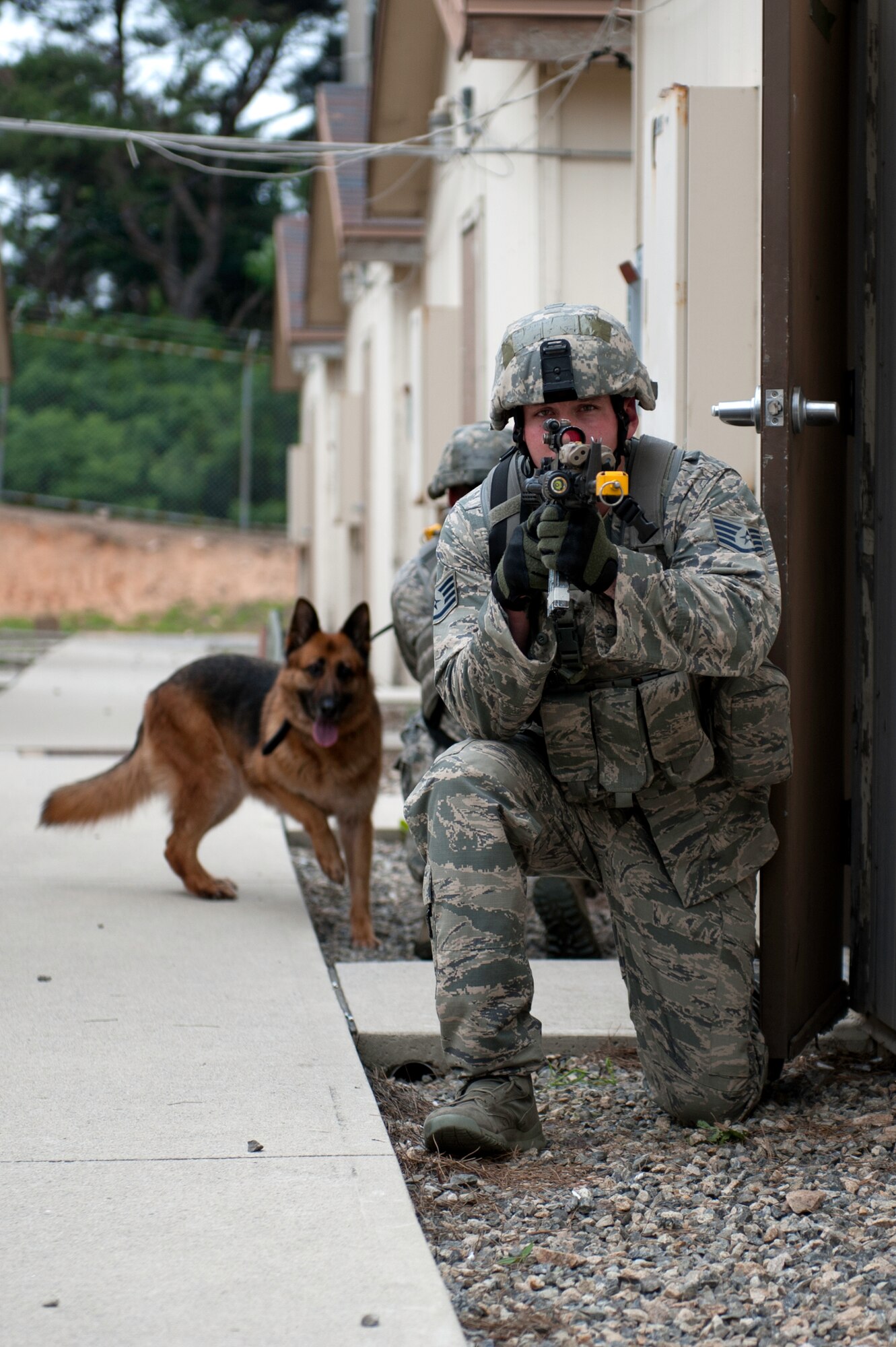 KUNSAN AIR BASE, Republic of Korea -- Staff Sgts. Justin Williams, front, Terry Blaine, 8th Security Forces Squadron military working dog members, and Stella, military working dog provide security for a ‘Fire Team’ to conduct room entry at Wolf Pack Park at Kunsan Air Base, ROK June 27, 2013. The event was part of the 8th SFS three-day Combat Readiness Training exercise, which encompasses many different tools to detect enemy combatants who breach the base’s boundaries. (U.S. Air Force photo by Staff Sgt. Tong Duong)