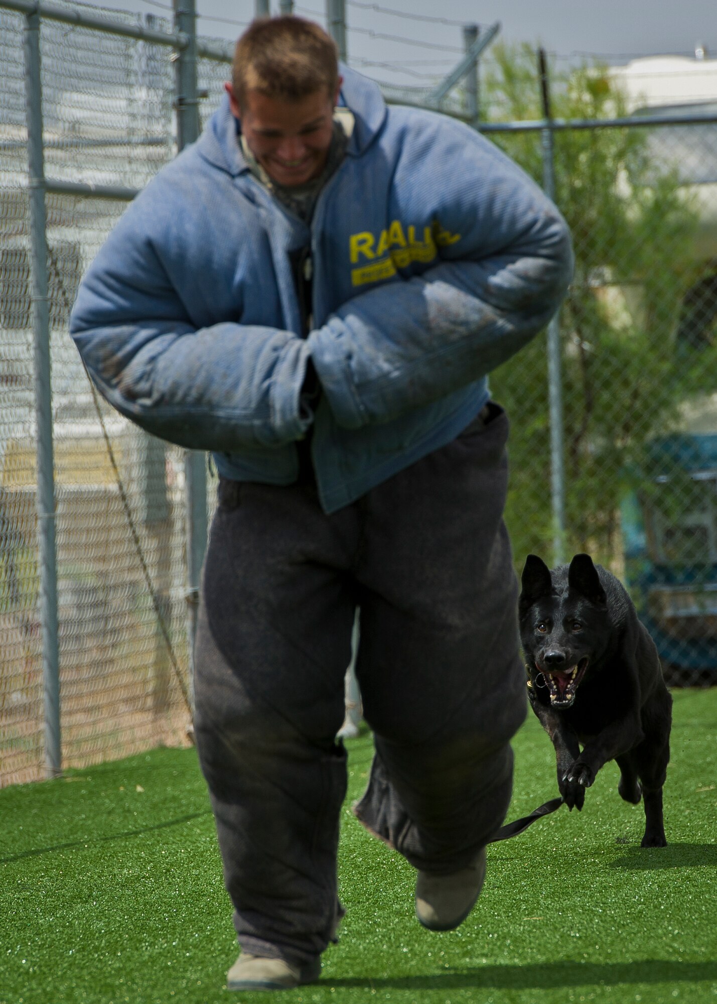 Andy Alexaitis, U.S. Air Force Academy cadet, plays the decoy for Military Working Dog Boby during aggression training at Holloman Air Force Base, N.M., June 28. The 49th Security Forces Squadron gave the cadets insight into the daily duties of being an MWD handler.  The cadets spent two weeks at Holloman to gain insight on their career options after the academy. (U.S. Air Force photo by Airman 1st Class Aaron Montoya/Released)