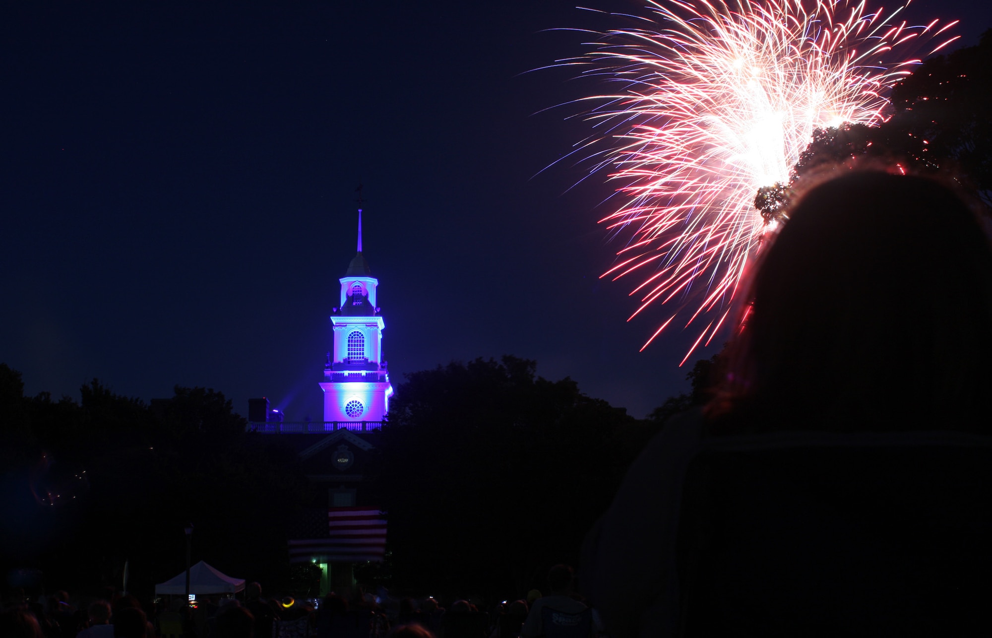 Fireworks illuminate the sky near the state capital building in celebration of Independence Day July 4, 2013, in Dover, Del. The fireworks culminated a day of celebration in Dover. (U.S. Air Force photo/Senior Airman Jared Duhon)