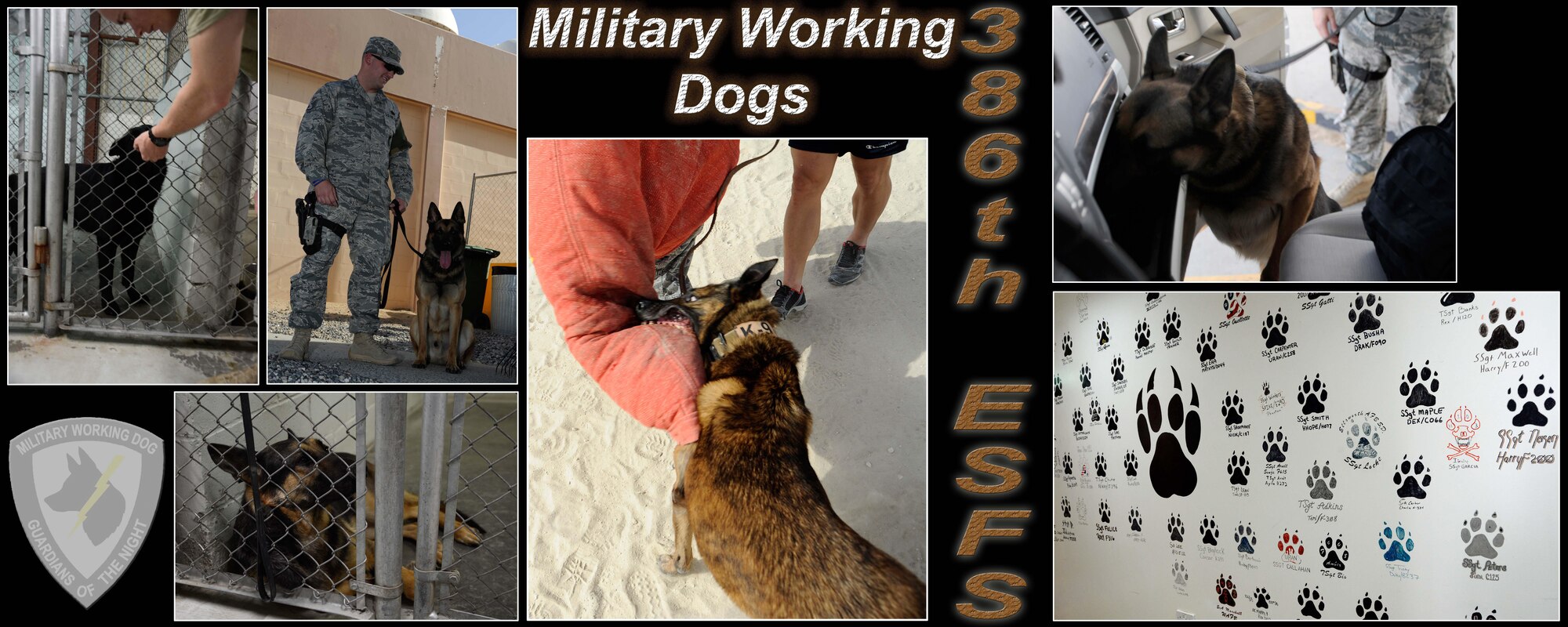 386th Expeditionary Security Forces Squadron Military Working Dogs