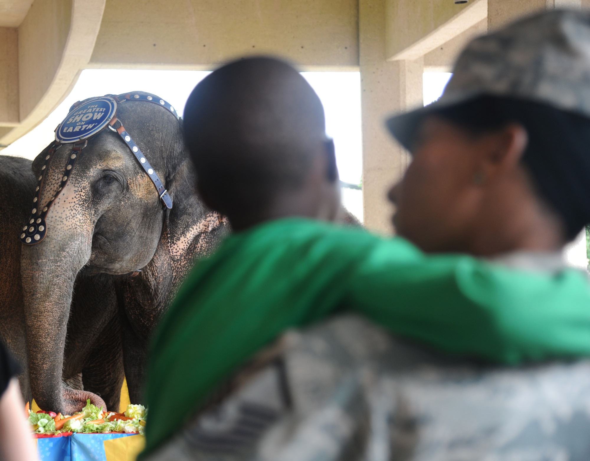 Master Sgt. Tomeika Frazier, 81st Force Support Squadron, and her son watch elephants eat at a circus event July 3, 2013, at the Mississippi Coast Coliseum.  Members of Keesler deployed families were invited to participate in a walking parade with the elephants followed by a picnic.  (U.S. Air Force photo by Kemberly Groue)