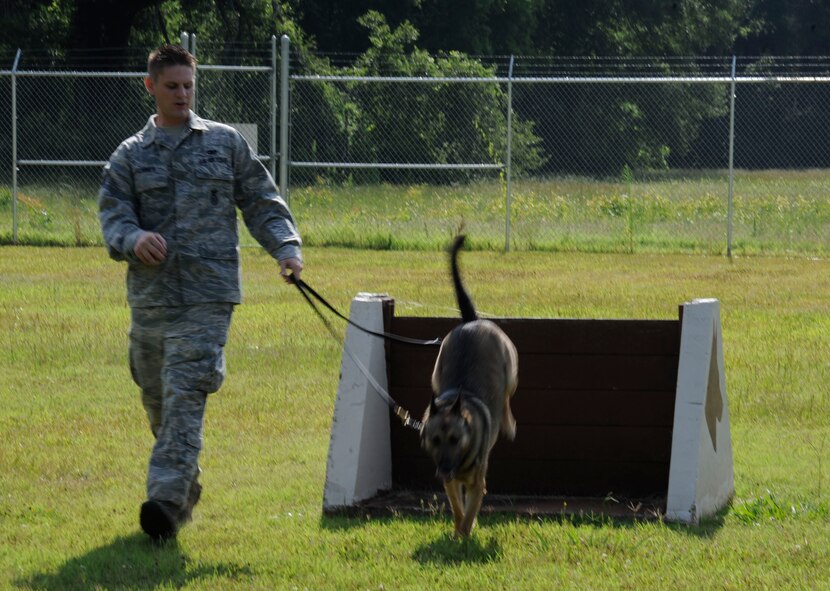 Staff Sgt. Jeremy Hammer, 2nd Security Forces Squadron military working dog handler, runs Caro, 2nd SFS MWD, through an obstacle course on Barksdale Air Force Base, La., July 8, 2013. Security Forces Airmen attend a three-month long course at Lackland Air Force Base, TX, in order to become certified handlers. (U.S. Air Force photo/Airman 1st Class Andrew Moua)