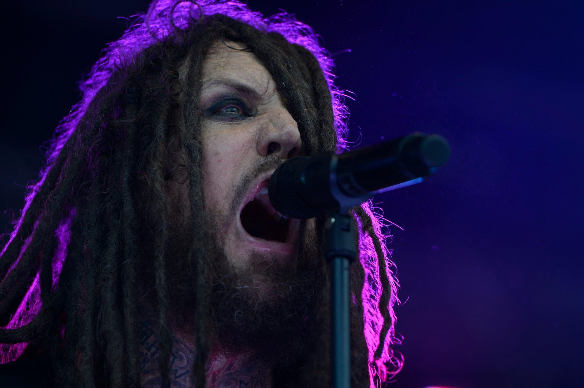 SPANGDAHLEM AIR BASE, Germany – Brian Welch, lead singer for Love and Death, screams into the mic during a performance July 3, 2013. The 52nd Force Support squadron hosted the Super Saber Appreciation Day concert a day before the July 4 festivities. Welch is an original member of Korn and still plays with them; he started his own band, Love and Death. (U.S. Air Force photo by Staff Sgt. Christopher Ruano)