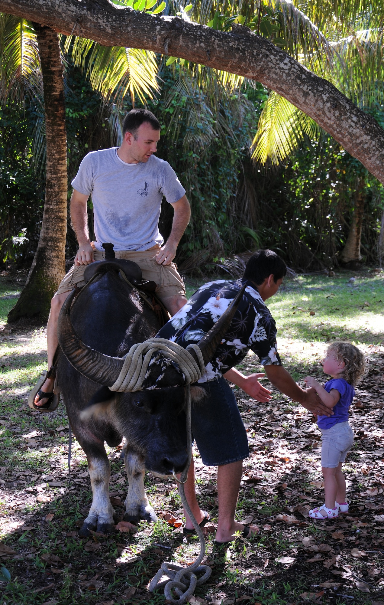 Capt. (Dr.) Nicholas Hardgrave, 36th Medical Operations Squadron optometrist, and his daughter ride a carabao during the Freedom Fest July 5, 2013, on Andersen Air Force Base, Guam. More than 900 military members and their families attended the Freedom Fest at Tarague Beach in celebration of Independence Day. (U.S. Air Force photo by Staff Sgt. Melissa B. White/Released) 