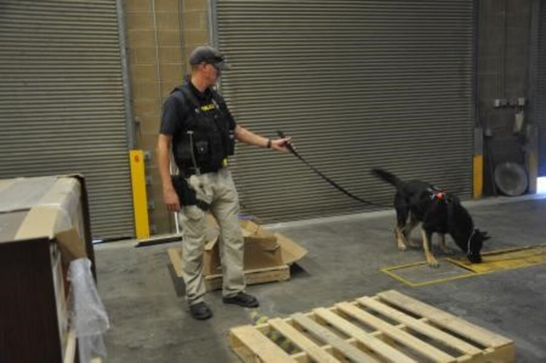 Sergeant Steven Goss, dog trainer with the Marine Corps Police Department K-9 unit on Marine Corps Logistics Base Barstow, guides his dog, Hokie, through a contraband detecting training exercise, June 28. The K-9 unit trains their dogs on detection at least twice a month.

