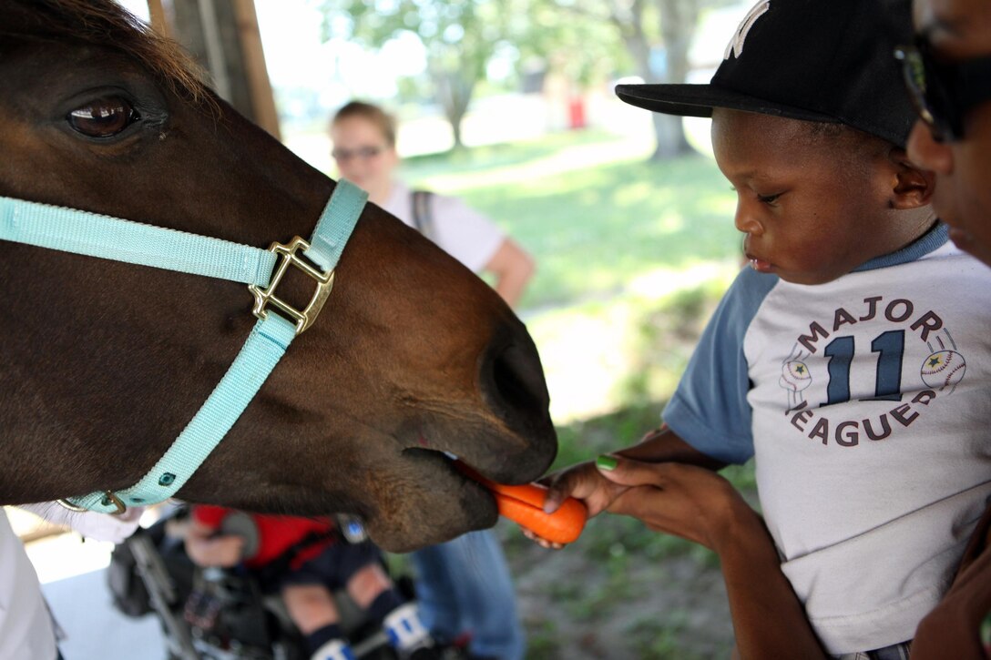 An Exceptional Family Member Program child interacts with a horse from the Scarlet and Gold Riding Club aboard Marine Corps Base Camp Lejeune, May 15. The SGRC staff brought out the horses for a sensory based science class.