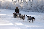 Alaska Army National Guard Staff Sergeant Harry Alexie runs 10 sled dogs on an 18-mile practice run near two-time Iditarod champion Lance Mackey's 'Comeback Kennel' training facility in Fairbanks.