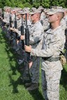 Marines with 8th Engineer Support Battalion, 2nd Marine Logistics Group stand at the position of present arms to salute during a relief and appointment ceremony held aboard Camp Lejeune, N.C., July 11, 2013. First Sgt. Monroe C. Boykin, the outgoing sergeant major of 8th ESB relinquished his position to Sgt. Maj. Russell A. Strack. 