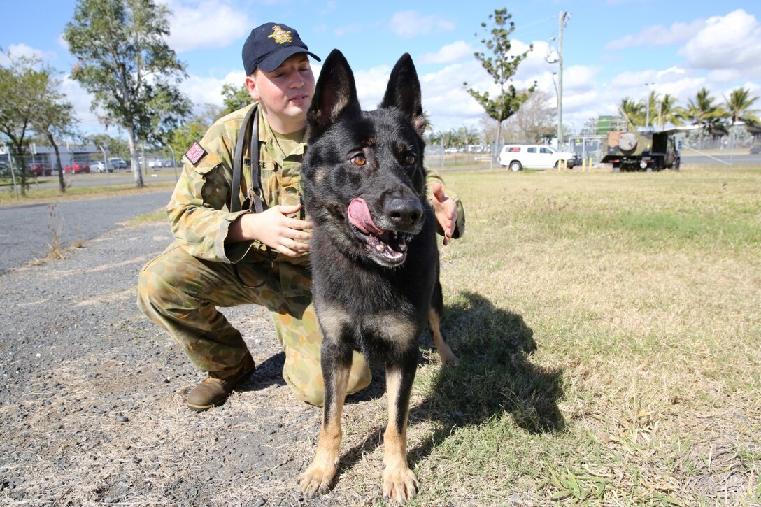 Australian Air Force Leading Aircraftman Lloyd Burbage, a dog handler assigned to 2nd Security Forces, pets his working dog, Khan, after conducting attack drills at Rockhampton Airport, July 14. 2nd Security Forces plays a vital role in exercise Talisman Saber 2013 by providing airport security. More than 28,000 U.S. and Australian personnel are participating in the exercise, designed to enhance multilateral collaboration in support of combined operations, humanitarian emergencies and natural disasters. (U.S. Marine Corps photo by Cpl. James Gulliver/ RELEASED)