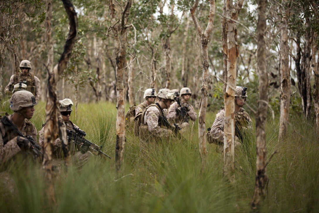 Marines assigned to Echo Company, Battalion Landing Team 2nd Battalion, 4th Marines, 31st Marine Expeditionary Unit patrol the Shoalwater Bay Training Area on July 16. The 31st MEU is participating in Talisman Saber 2013, a biennial exercise that enhances multilateral collaboration between U.S. and Australian forces for future combined operations, humanitarian assistance and natural disaster response. (U.S. Marine Corps photo by Lance Cpl. Matthew Bragg/RELEASED)
