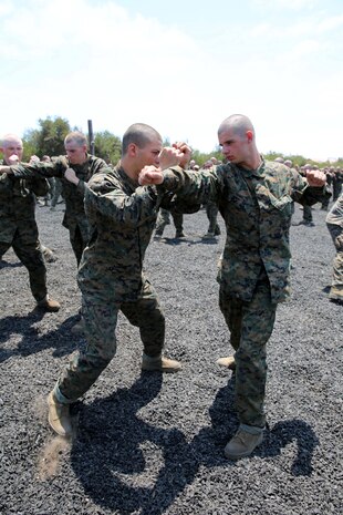 Recruits of Company A, 1st Recruit Training Battalion, practice counters to the rear hand punch aboard Marine Corps Recruit Depot San Diego, July 12. Recruits only used partial strength in their movements in order to prevent injuries to themselves and fellow recruits. 
