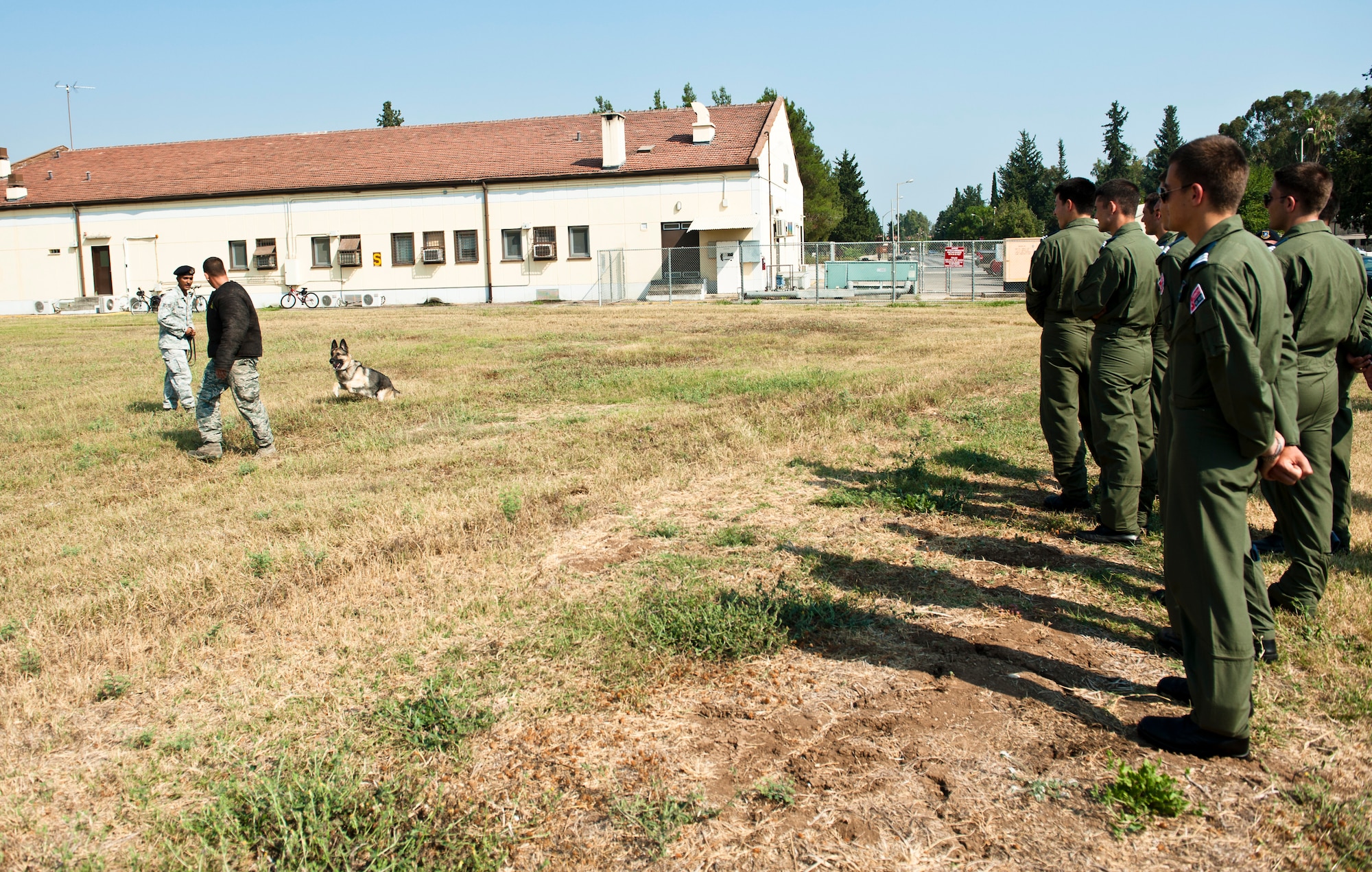 Turkish air force cadets observe the capabilities of a 39th Security Forces military working dog team July 15, 2013. The cadet tour provided opportunities to strengthen the solidarity between the two NATO allies. (U.S. Air Force photo by Senior Airman Daniel Phelps/Released)