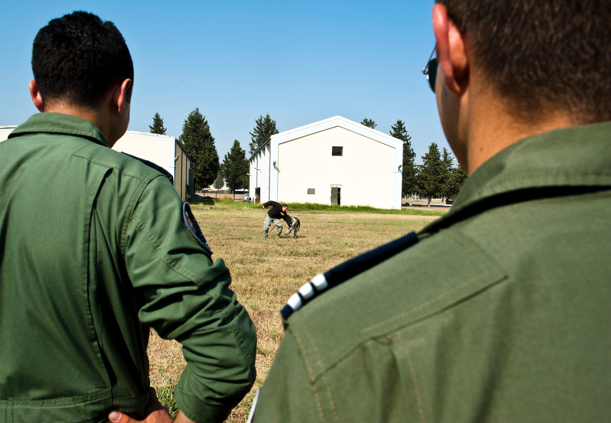 Turkish air force cadets watch a 39th Security Forces Squadron military working dog demonstration July 15, 2013 at Incirlik Air Base, Turkey. The MWD demonstration was an important stop during the cadet’s tour as TURAF and 39th SFS members work together on a daily basis. (U.S. Air Force photo by Senior Airman Daniel Phelps/Released)