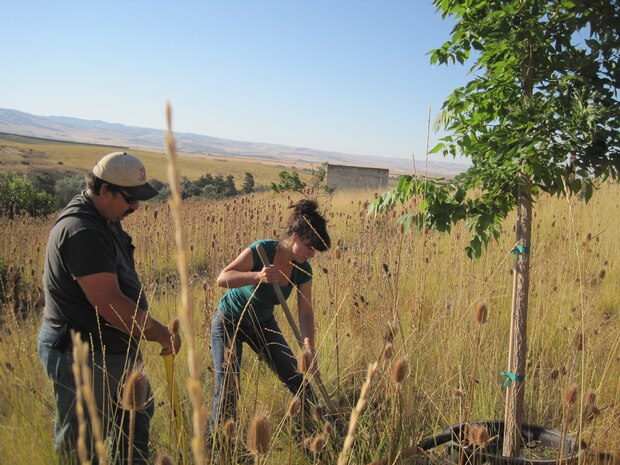 2011 National Public Lands Day volunteers planting a tree at Bennington Lake.