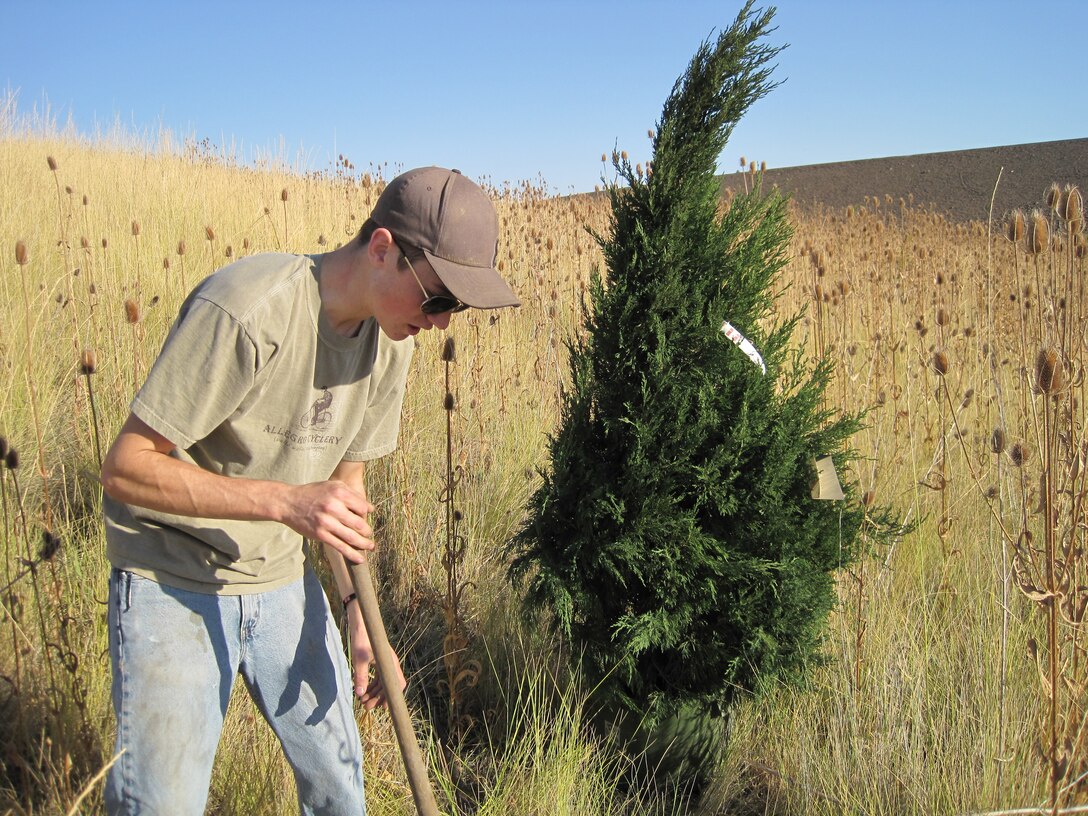 2011 National Public Lands Day volunteer Nathan Bannerman planting a tree at Bennington Lake.