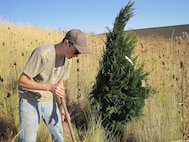 2011 National Public Lands Day volunteer Nathan Bannerman planting a tree at Bennington Lake.