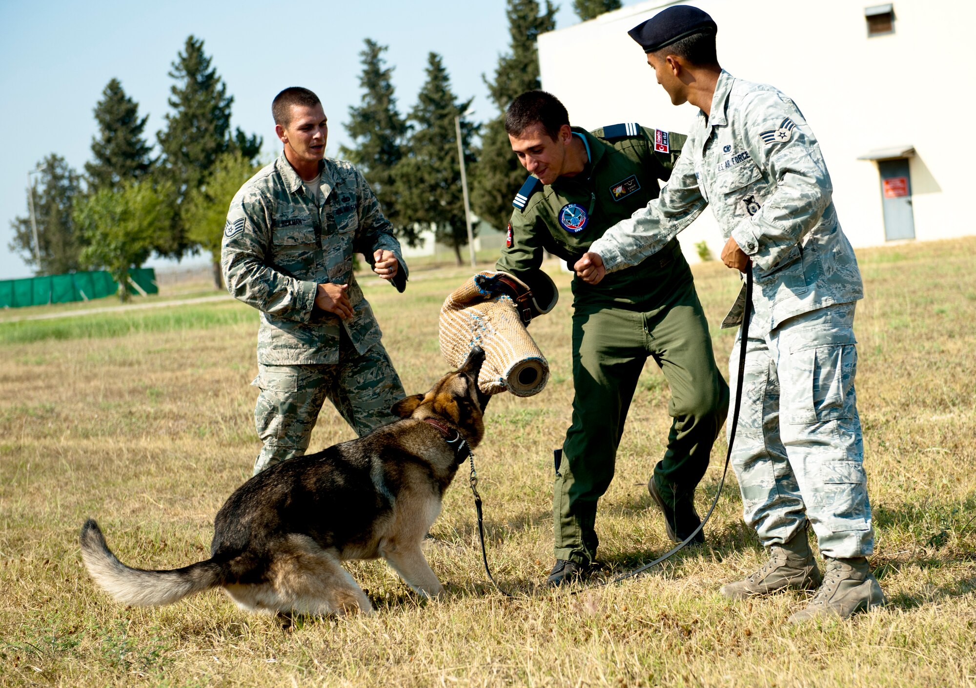 Staff Sgt. Christopher Keilman and Senior Airman Jeffrey Alvarez, 39th Security Forces Squadron K-9 handlers, assist a Turkish air force cadet during a military working dog demonstration July 15, 2013, at Incirlik Air Base, Turkey. The MWD demonstration was an important stop during the cadet’s tour as TURAF and 39th SFS members work together on a daily basis. (U.S. Air Force photo by Senior Airman Daniel Phelps/Released)