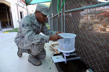 Senior Airman Shannon Anderson, 359th Aerospace Medicine Squadron public health technician, collects mosquitoes July 11 at the Joint Base San Antonio-Randolph Child Development Center. Once collected, the mosquitoes are tested for West Nile virus. (U.S. Air Force photo by Rich McFadden/released)
Senior Airman Shannon Anderson, 359th Aerospace Medicine Squadron public
health technician, collects mosquitoes July 11 at the Joint Base San
Antonio-Randolph Child Development Center. Once collected, the mosquitoes
are tested for West Nile virus. (U.S. Air Force photo by Rich
Senior Airman Shannon Anderson, 359th Aerospace Medicine Squadron public
health technician, collects mosquitoes July 11 at the Joint Base San
Antonio-Randolph Child Development Center. Once collected, the mosquitoes
are tested for West Nile virus. (U.S. Air Force photo by Rich
McFadden/released)

