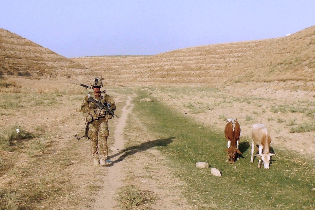 A U.S. soldier patrols next to farm animals in a valley in northern Kunduz province, Afghanistan, July 15, 2013.