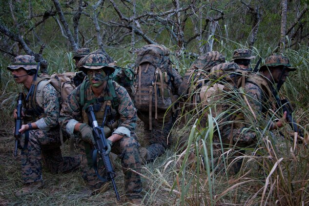 Reconnaissance Marines with 4th Force Reconnaissance Company secure themselves by watching in all direction during their two weeks of annual training at the Marine Corps Training Area Bellows, Hawaii, July 18, 2013. (U.S. Marine Corps photo by Lance Cpl. Nathan Knapke)