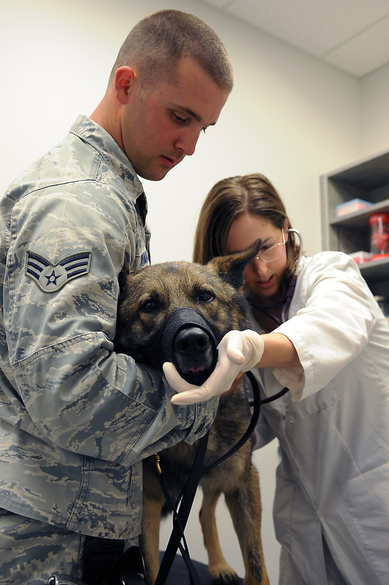 Senior Airman Shane Truman, 509th Security Forces Squadron military working dog handler, holds his working dog, Norbo, during a routine examination with Joanna Kuecker, Army Public Health Command District-Carson veterinarian, at Whiteman Air Force Base, Mo., July 3, 2013. Due to the varying temperments of the working dogs, they are handled only by their handlers and not the clinic technicians. (U.S. Air Force photo by Airman 1st Class Shelby R. Orozco/Released)
