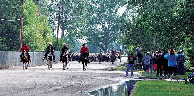 A crowd gathers and watches Chloe Pfoor, Miss Frontier, and Kaci Malmborg, her Lady-in-Waiting, and two Cheyenne Frontier Days committee members as they lead a herd of cattle down Kennedy Road toward the CFD arena July 14, 2013. (U.S. Air Force photo by Airman 1st Class Brandon Valle)