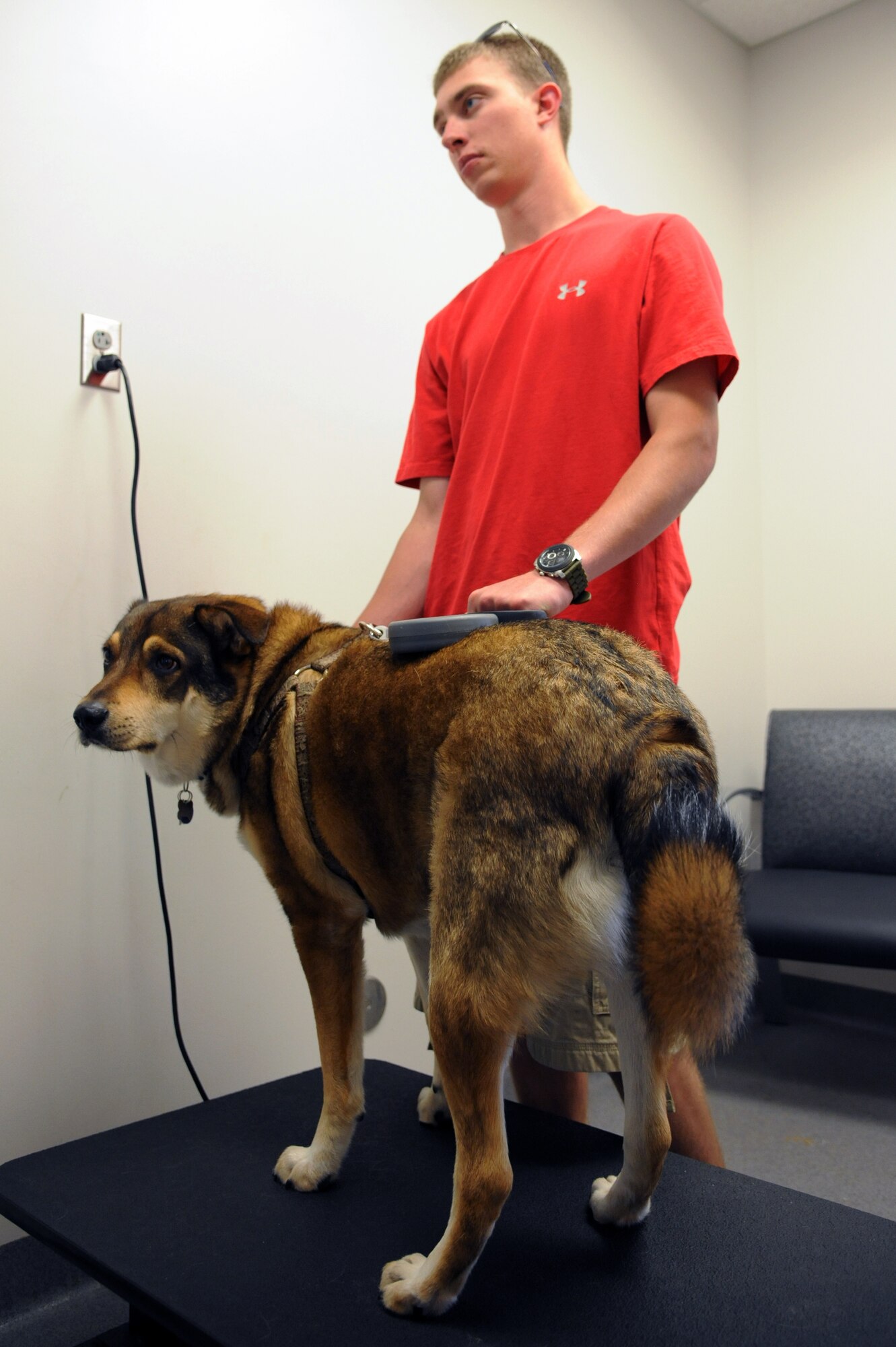 Senior Airman Chase Good, 509th Munitions Squadron, and his dog Neiko, wait for the results of a blood test at Whiteman Air Force Base, Mo., July 3, 2013. Neiko was being tested for heartworms upon his return from Alaska. (U.S. Air Force photo by Airman 1st Class Shelby R. Orozco/Released)