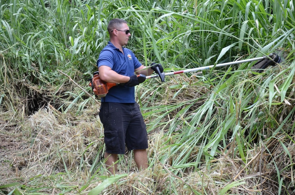 Sgt. Isreal Eschete, platoon sergeant, Remain Behind Element, 2nd Battalion, 3rd Marine Regiment, cuts plants with a weed-whacker at Heeia State Park, July 13, 2013. The Marines of the RBE, 2nd Bn., 3rd Marines and their family members joined the local community in clearing overgrown vegetation at the park. (U.S. Marine Corps photo by Kristen Wong)