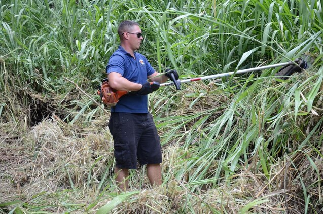 Sgt. Isreal Eschete, platoon sergeant, Remain Behind Element, 2nd Battalion, 3rd Marine Regiment, cuts plants with a weed-whacker at Heeia State Park, July 13, 2013. The Marines of the RBE, 2nd Bn., 3rd Marines and their family members joined the local community in clearing overgrown vegetation at the park. (U.S. Marine Corps photo by Kristen Wong)