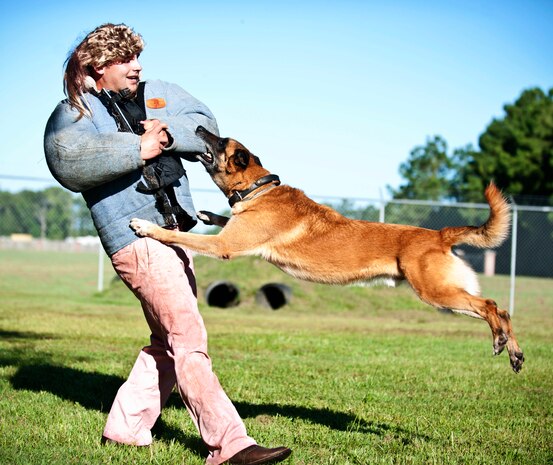 Military Working Dog Arton, attacks Staff Sgt. Jonathan Garrett, 628th SFS K-9 handler, during a K-9 demonstration for the children from Eagle Harbor Boys Ranch July 22, 2013, at Joint Base Charleston – Air Base, S.C. The boys watched a K-9 demonstration and were able to examine the 628th Security Forces Squadron patrol cars. The 628th Civil Engineer Squadron Fire Department also briefed the children about their jobs as firefighters and gave them a tour of the fire station. (U.S. Air Force photo/ Staff Sgt. David Collins) 