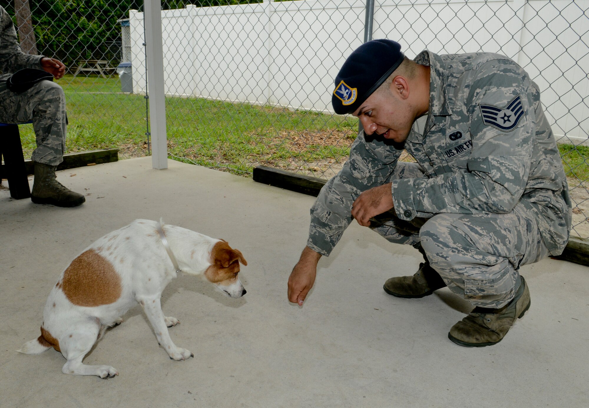Staff Sgt. Alex Lazala, 6th Security Forces Squadron military working dog handler,  gives Callie a treat during a training session, July 19, 2013 at the Society for Prevention of Cruelty of Animals Tampa Bay in St. Petersburg, Fla. Five MWD handlers used positive reinforcements to train 15 dogs basic commands of how to sit, lay and stay. (U.S. Air Force photo by Senior Airman Melissa Paradise/Released/cropped for point of interest)