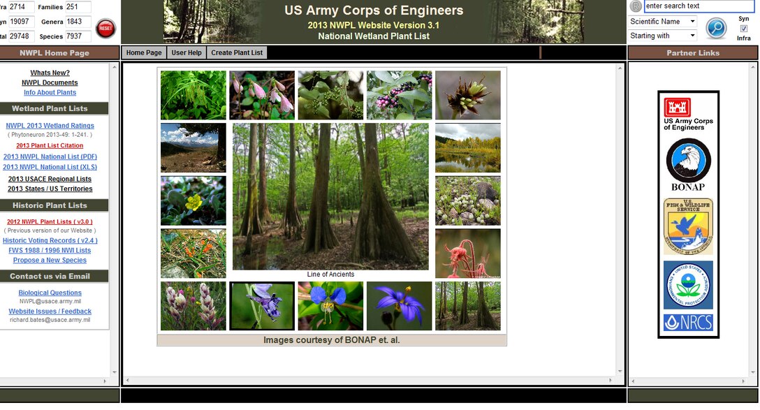 The national wetland plant list received its first update since going web based in 2012. The list features 7937 plant species, which is a reduction of 263 species from 2012. (U.S. Army image)