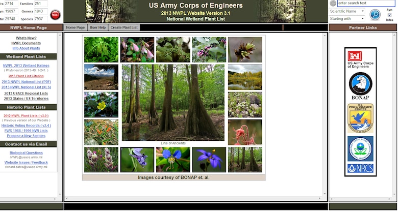 The national wetland plant list received its first update since going web based in 2012. The list features 7937 plant species, which is a reduction of 263 species from 2012. (U.S. Army image)