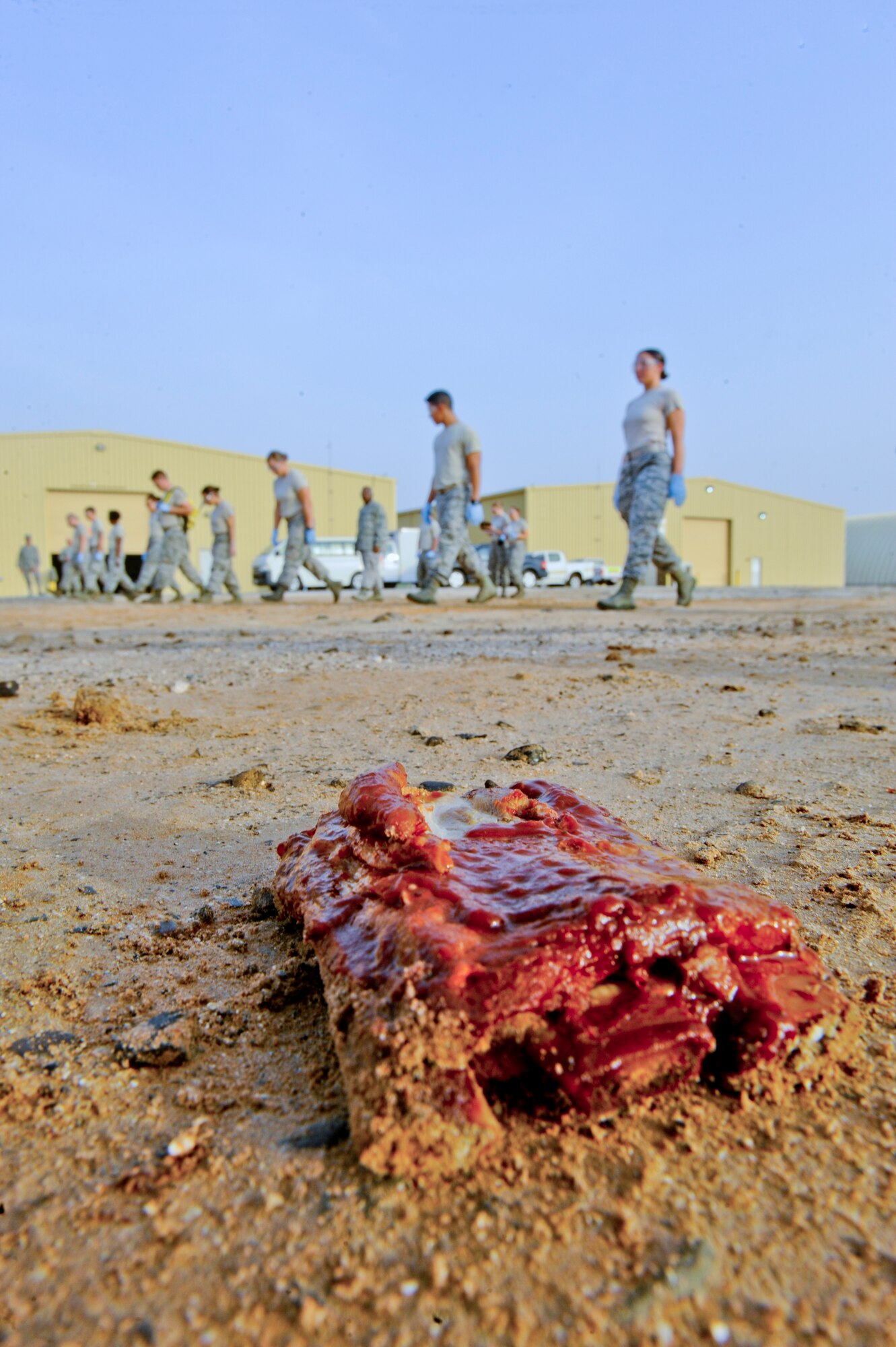 A piece of meat lays in the ground as Airmen from the 380th Expeditionary Force Support Squadron train on search and recovery procedures at an undisclosed location in Southwest Asia July 23, 2013. The training shows the Airmen how to recovery all remains and personal affects after a mass causality event. (U.S. Air Force photo by Staff Sgt. Joshua J. Garcia)   