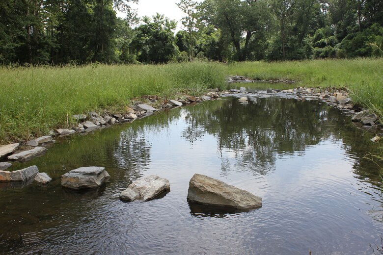 The U.S. Army Corps of Engineers' Philadelphia District and the Philadelphia Water Department restored habitat and reduced combined sewage overflow by constructing the Cobbs Creek (Indian Creek) Habitat Restoration project. The project involved removing approximately 700 feet of stream from a culvert, a practice known as daylighting. 