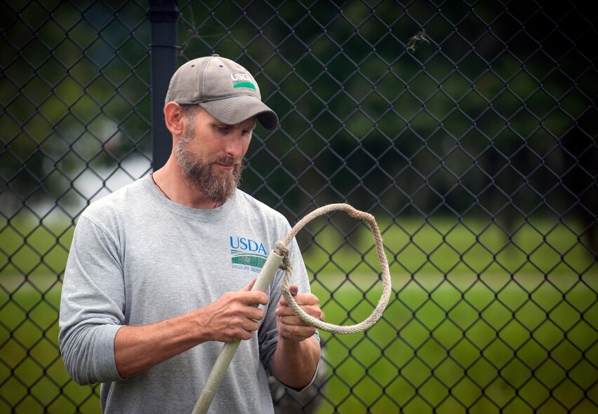 J.C. Griffin, U.S. Department of Agriculture wildlife biologist, prepares a snare for alligator trapping at Moody Air Force Base, Ga., July 25, 2013. The snare is used to help control the alligator and allow the alligator to expend its energy safely.  (U.S. Air Force photo by Senior Airman Jarrod Grammel/Released)
