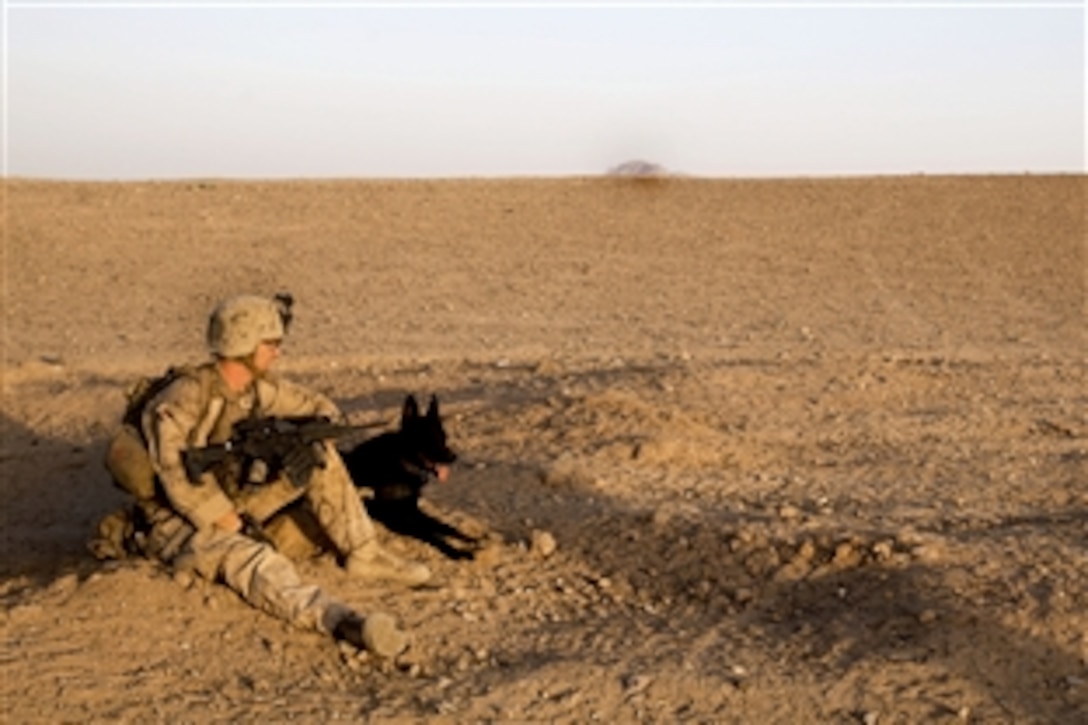 U.S. Marine Corps Cpl. Adam Cook and his military dog, Falco, take a break during a patrol in Mohammad Abad village in Afghanistan’s Helmand province, July 23, 2013. Cook, a dog handler, and Falco are assigned to the 2nd Law Enforcement Battalion. 