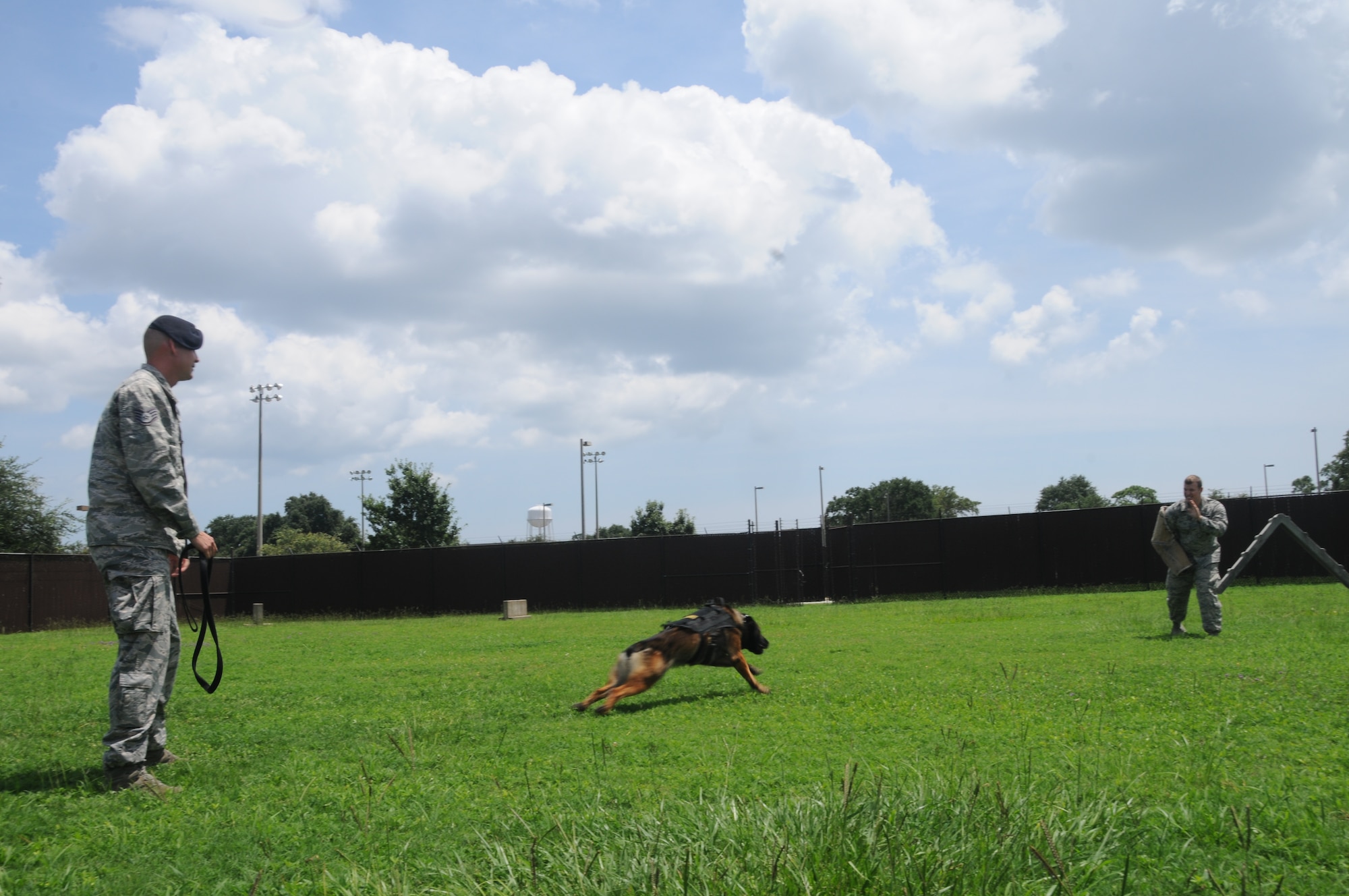 Staff Sgt. James Wader, 81st Security Forces, sends Toki, a military working dog, to demonstrate apprehension on Staff Sgt. Jeremy Hayes July 25, 2013, in the military working dog kennel training yard, Keesler Air Force Base, Miss. Military working dogs are trained from birth to protect and serve alongside their human counterparts, and handlers get to work with these well-trained dogs on a daily basis. (U.S. Air Force photo by Airman 1st Class Stephan Coleman)