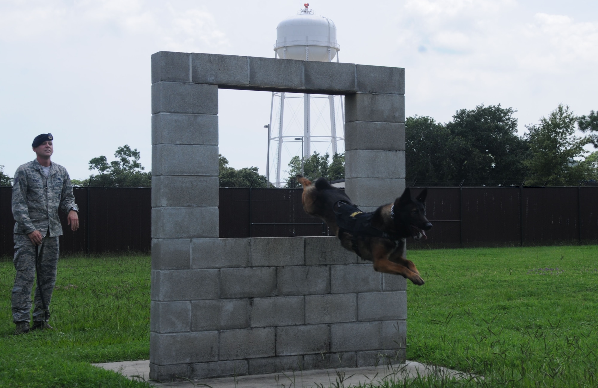 Toki, a military working dog, runs the obstacle course under the direction of Staff Sgt. James Wader July 25, 2013, in the military working dog kennel training yard, Keesler Air Force Base, Miss. Canine officers, along with their trainers, are constantly working to maintain themselves as a serious and effective force of security, both at Keesler and in deployed locations. (U.S. Air Force photo by Airman 1st Class Stephan Coleman)