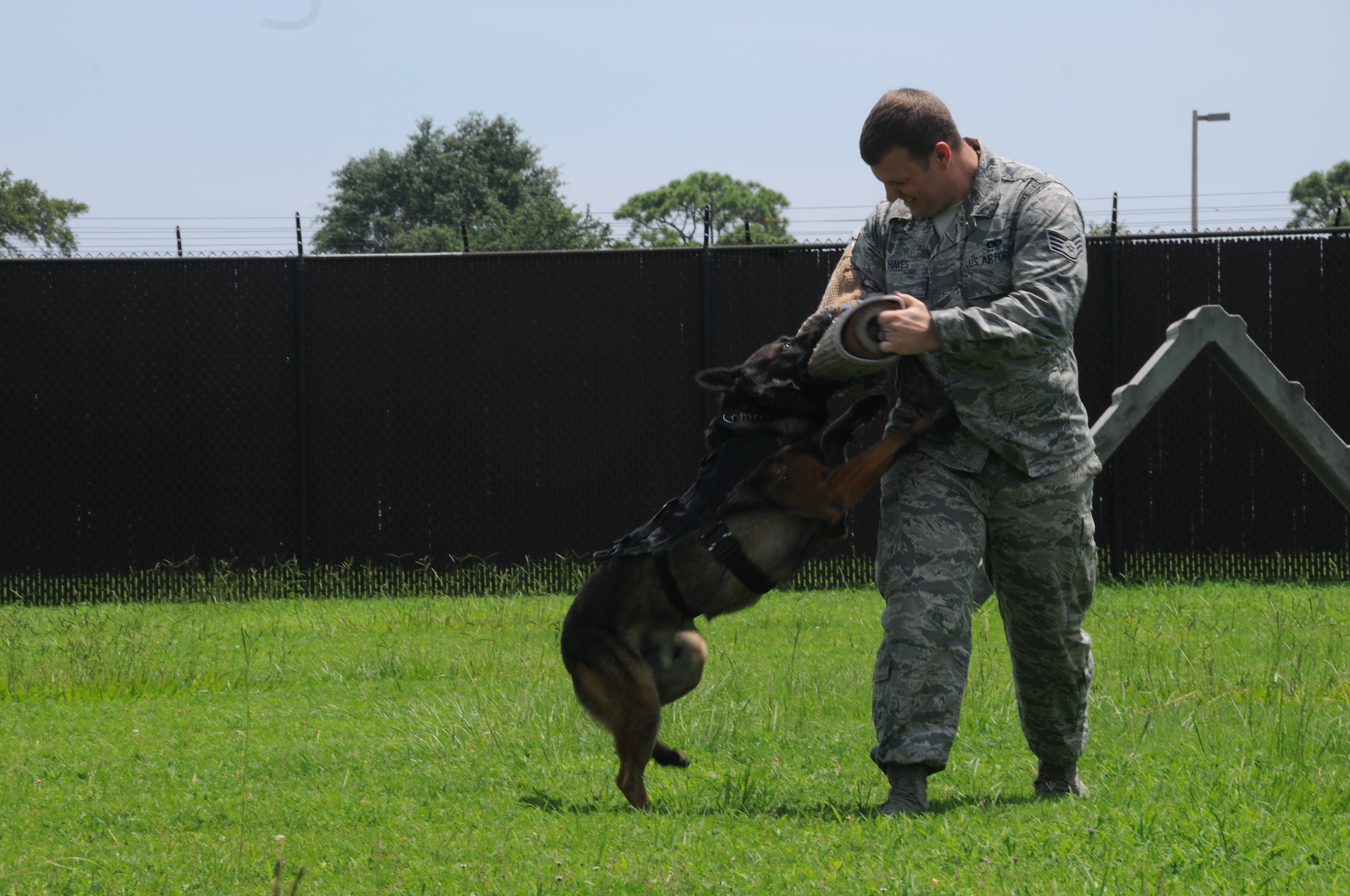 Toki, a military working dog, demonstrates apprehension tactics on Staff Sgt. Jeremy Hayes July 25, 2013, in the military working dog kennel training yard, Keesler Air Force Base, Miss. Military working dogs are trained from birth to protect and serve alongside their human counterparts, and handlers get to work with these well-trained dogs on a daily basis. (U.S. Air Force photo by Airman 1st Class Stephan Coleman)