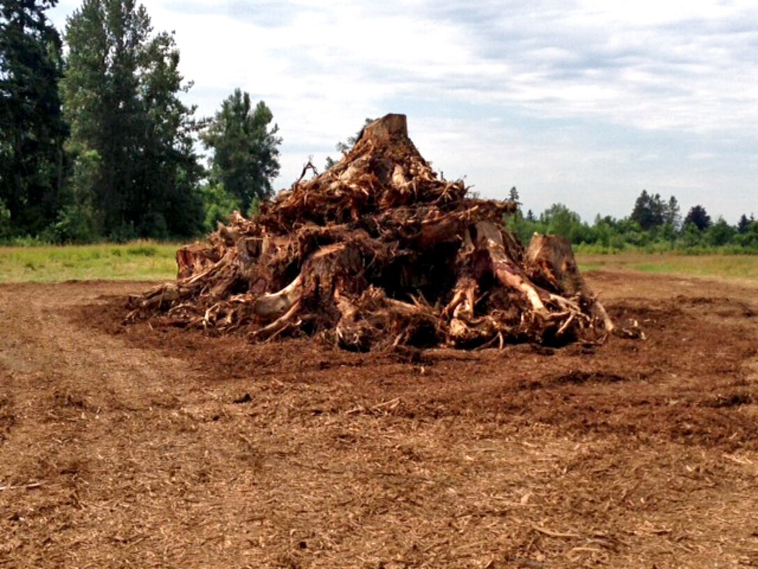 Large woody debris will be strategically placed in the creek to provide refuge to juvenile salmonids.