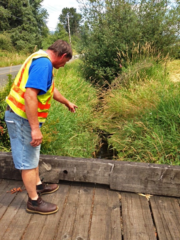 Property owner Ted Strand points out the canary grass in the existing creek, which flows through a roadside ditch between the street and his land.