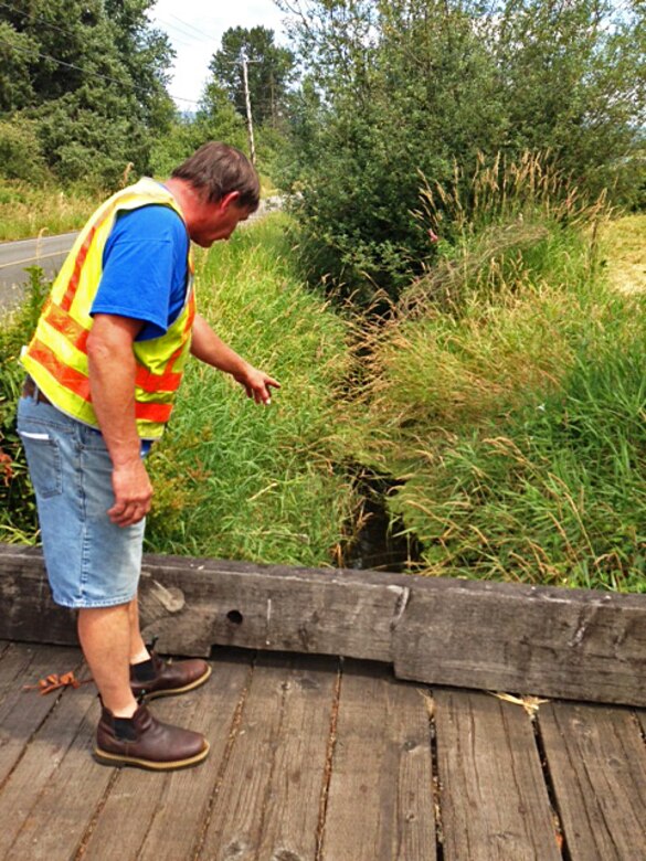 Property owner Ted Strand points out the canary grass in the existing creek, which flows through a roadside ditch between the street and his land.