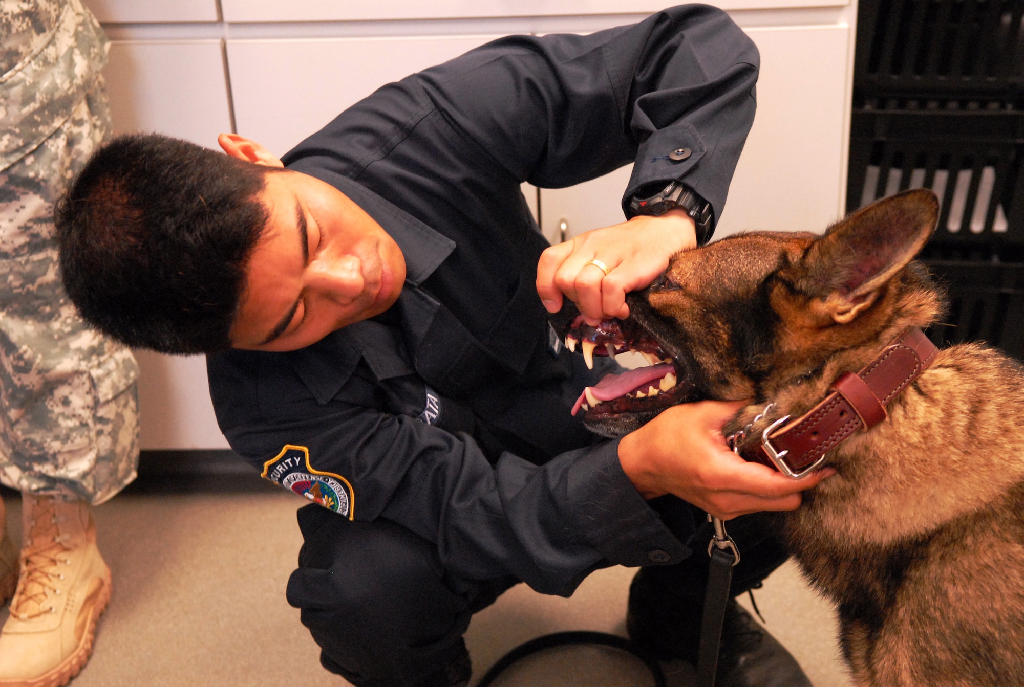 Civilian Guard Shitetsu Hirata, 18th Security Forces Squadron kennel assistant, shows military working dog Tico's teeth during a semiannual physical examination on Kadena Air Base, Japan, July 30, 2013.  MWDs such as Tico are necessary to the continued security of American forces at their home station and deployed locations and so receive the best care possible from Okinawa Veterinary Treatment Facility veterinarians. (U.S. Air Force photo by Staff Sgt. Lauren Snyder/Released)